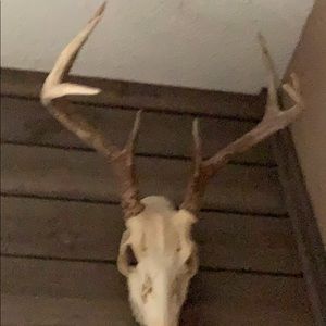 Meet your Posher, Danilo